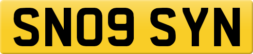 SN09SYN